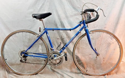 1982 Panasonic Sport 500 Road Bike 45cm XX-Small Lugged Steel Java Cafe Commuter - Image 1 of 4