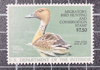 Scott RW53 1986 $7.50 Duck Stamp MNH PSE Cert Grade 90 SCV $40.00 - Image 1 of 3