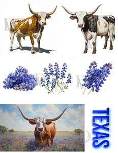 Texas Longhorns & Bluebonnets Collage Zubehör Sammelalbum Junk Journal Karten - Bild 1 von 2