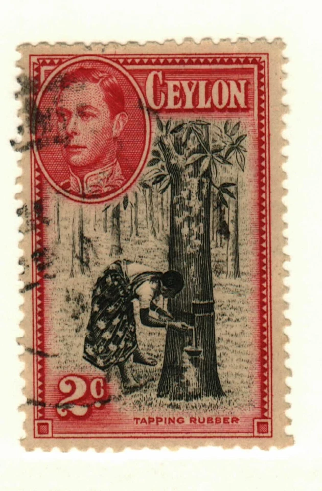 Ceylon #278 used tapping rubber trees - Image 1 of 1