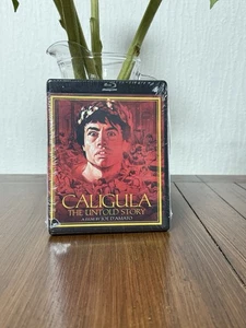 Caligula: The Untold Story (Blu-ray) David Brandon Laura Gemsern a9 - Bild 1 von 4