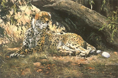 Dorothea Buxton-Hyde - 1990 Giclée, In Ruhe - Bild 1 von 3