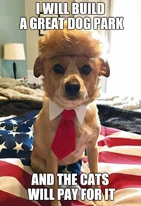 Trump Hundemagnet 3 1/2x4 1/2 Made in USA mit heimischen Produkten - Bild 1 von 1