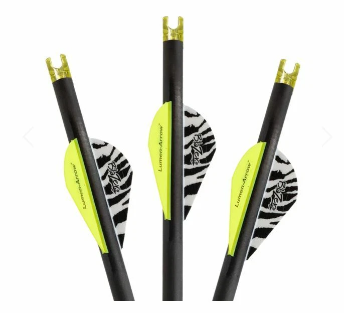 Pernos de ballesta Lumenok 20" HD naranja levas de captura - Paquete de 3 Foto 1 de 1