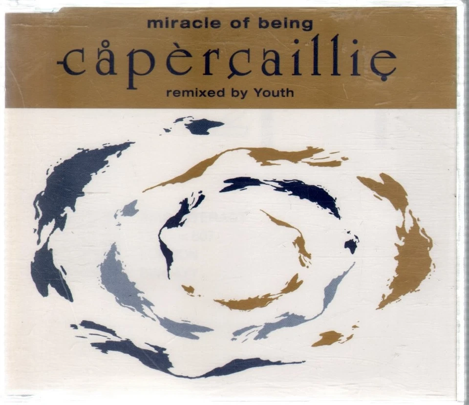 Capercaillie Miracle of Being CD UK Arista 1994 of remixes by youth 74321240532 — 第 1/1 张图片