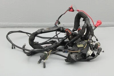 Arnés de cableado principal Victory Boardwalk 2013 2411867 Foto 1 de 4