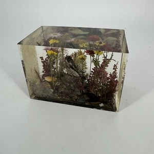 Signed Lucite Paperweight Floral W Rolfe Signed Butterfly and Ladybug Terrarium - Picture 1 of 17