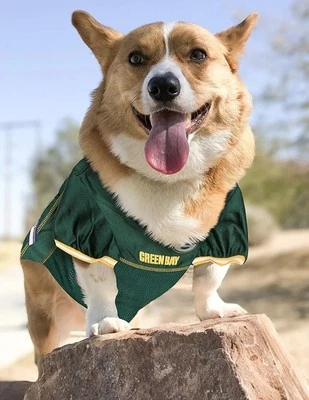 Camiseta deportiva de los fanáticos de los Green Bay Packers con licencia de la NFL para tu mascota talla grande Foto 1 de 4