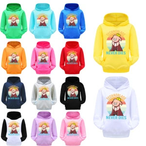 Technoblade pig Boys Girls Casual Hoodie Hooded Sweatshirt Tops Jumper Pullover - Picture 1 of 16