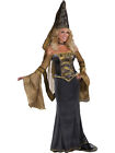 Medieval Renaissance Maiden Women's Costume