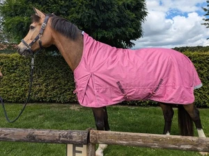 RS - Outdoordecke / Winterdecke "Super-dry Stardust" Magenta -Abschwitzfunktion - Bild 1 von 8