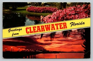 Cartolina FL Banner Saluti da Clearwater Florida fiori tramonto doppia vista - Foto 1 di 2