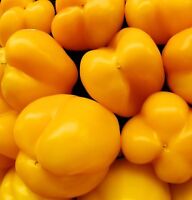 2020 Seeds $1.69 Max Shipping Heirloom 75 Calwonder Pepper Seeds