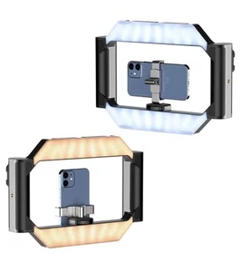 Caja abierta Ulanzi U-Rig Luz Teléfono Celular Doble Portátil Relleno Luz Estabilizador - Imagen 1 de 4