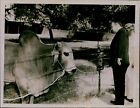 Ga19 1953 Orig Photo Adlai Stevenson Ashok Bull New Delhi India Political Visit