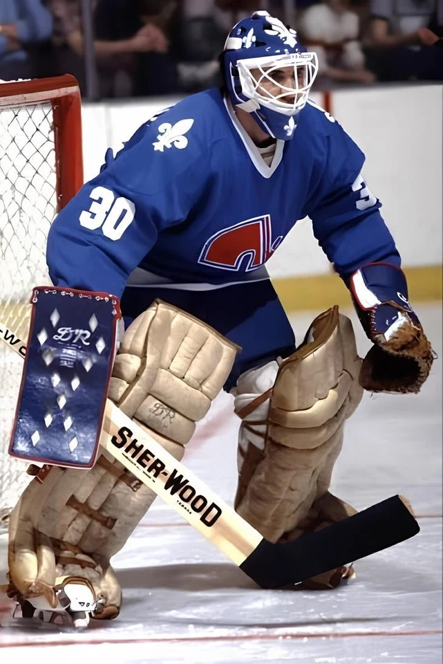HOCKEY PHOTO PRINT CLINT MALARCHUK QUEBEC NORDIQUES - Image 1 of 1