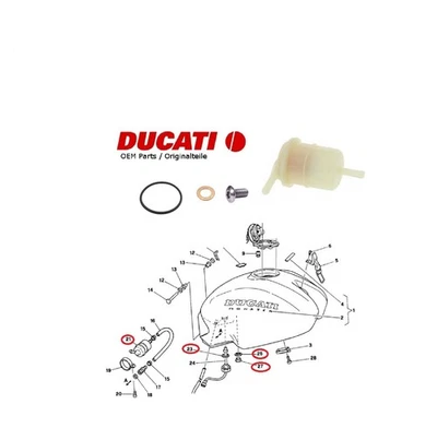 Ducati Monster 400 600 750 900 gasoline fuel filter tank sealing ring - Image 1 of 4