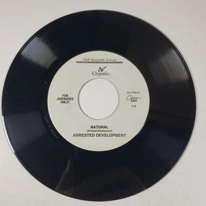 Arrested Development "Natural" "Fishin' 4 Religion" 45 Vg+ Tested Chrysalis - Picture 1 of 4