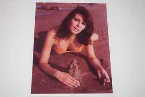 Raquel Welch pinup 8x10 glossy photo Busty Sexy Gorgeous Cleavage 0059 - Picture 1 of 1