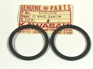 QTY 2 NEW OEM KAWASAKI F11 VN800 VN900 ENGINE COVER O-RING 670B3034 - Foto 1 di 1