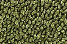 FITS 1965-1968 Ford Custom 2DR Auto Loop Carpet Foto 1 de 3