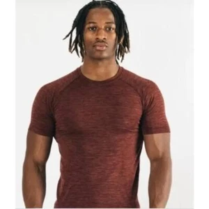 New Alphalete Medium Hero Seamless Tee Sparrow Brown Crew Neck Short Sleeves - Picture 1 of 11