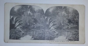 Stereoscope Stereoview Card Tropical Garden At Monte Carlo Monaco - Picture 1 of 5