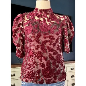 NWT New $148 Anthropologie Velvet Cutwork Applique Lace Cami Blouse Set XS - Picture 1 of 14