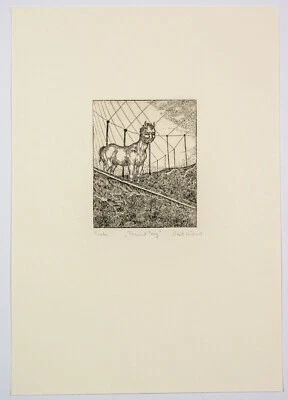 Beate Hübner: "Freund Pony" Radierung handsign. Probe - Bild 1 von 2