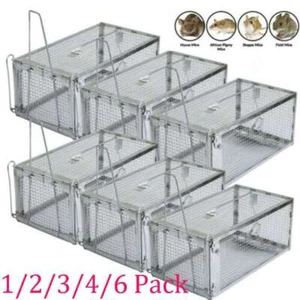 1-6pc Live Humane Cage Trap for Squirrel Chipmunk Rat Mice Rodent Animal Catcher - Picture 1 of 12