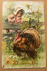 Vintage 1911 Used Tuck's Postcard Embossed Thanksgiving Day