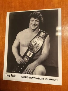 TERRY FUNK nwa champion 8x10 art print photo wrestling awa wwe wcw - Picture 1 of 1