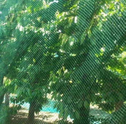 MARKENLOS Vogelschutznetz Laubnetz Gartennetz Teichnetz Pflanzenschutznetz 19 Größen