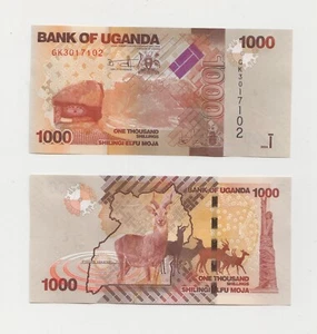 UGANDA: Banconota 1.000 scellini nuova 2024 P-NUOVA serie firma grado UNC - Foto 1 di 1