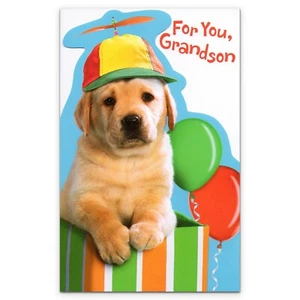 Süße ALLES GLÜCKLICHE GEBURTSTAGSKARTE FÜR ENKEL Welpenmütze von American Greetings + Umschlag - Bild 1 von 4