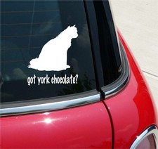 Got York Chocolate? Cat Graphic Decal Sticker Art Car Wall