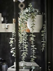 IKEA FEJKA ARTIFICIAL PLANT POTTED HANGING LIFELIKE IN / OUTDOOR DECORATION