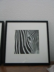 AFRIKA ZEBRA BLACK & WHITE BILD im Holzrahmen BIG ANIMAL STYLE 🦓 - Bild 1 von 4