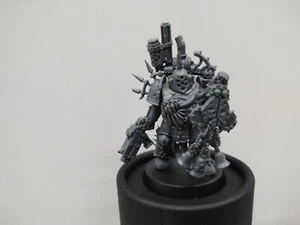 Warhammer 40k Death Guard Plague Marine Icon Bearer Fully Assembled - Picture 1 of 2