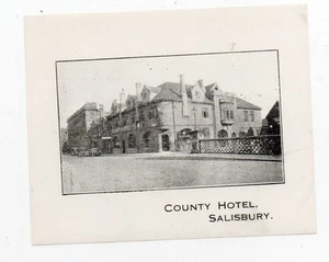 Etiqueta de equipaje original de los años 20 del County Hotel Salisbury Inglaterra - Imagen 1 de 1