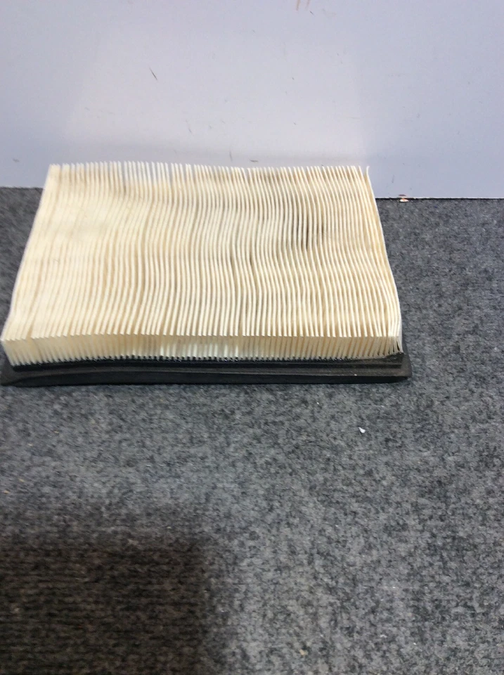 Filtro de aire Hastings AF1125 se adapta a vehículos enumerados en la tabla Foto 1 de 4