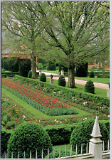 Williamsburg Virginia VA Colonial Governor Place Garden Flowers Vintage Postcard