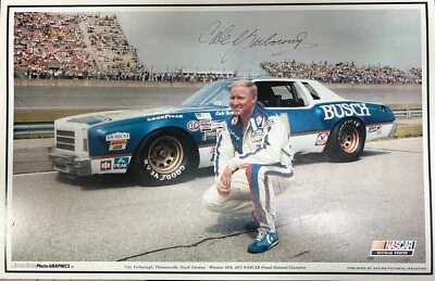 Póster de 17" x 11" con gráficos fotográficos SportStar de 1980 NASCAR Cale Yarborough Busch Foto 1 de 2