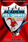 Cyfres Academi Pel-Droed: Gyda'n Gilydd By Tom Palmer,Mari Georg