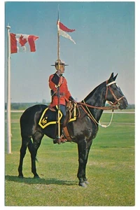 RCMP Royal Canadian Mounted Police Mountie and Horse Musical Ride Postcard - Bild 1 von 2