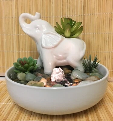 Tranquilidad Mesa Elefante Fuente de Agua Suculentas Zen ENVÍO GRATUITO #787 Foto 1 de 4