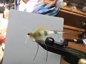 Mosche d'acqua salata gamberetti erba taglia 2 pesce osso rosso trota di mare tarpon - Foto 1 di 7