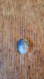 ANCIENT EGYPTIAN SCARAB AMULET - CIRCA 1570-1069 BC NEW KINGDOM - Picture 1 of 4