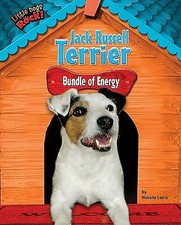 Jack Russell Terrier : Bundle of Energy by Natalie Lunis
