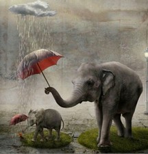 Weird Funny Scary Art Laminated Pictures